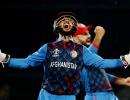 'Afghanistan were simply brilliant'