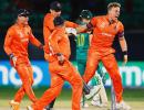 Another Upset! Spirited Dutch humble South Africa