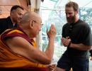 What's Dalai Lama Telling Williamson?