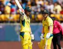 Head hammers hundred as Australia down NZ in thriller