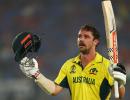 Australia sweep T20 series against New Zealand