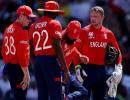 Mott downplays Hazlewood's 'knock out England' talk