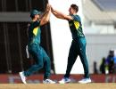 Six-hitting sprees, hat-tricks: T20 WC thrills unfold