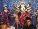 Dada, Lara Celebrate Durga Puja