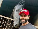 Jadeja's Horse Loves 'Posing'