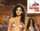 Meet the Kingfisher Calendar Hunt modelling hopefuls