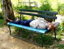 Unusual summer pics: Snoozing on a park bench!