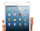 Apple iPad Mini: Will YOU buy it for Rs 18k?