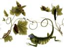 Google doodles for Maria Sibylla Merian's 366th birthday