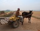 1406 km through Punjab: In the city of the magician