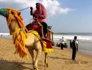 Odisha travel: Exploring India's east coast