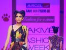 PIX: Neha Dhupia catwalks to Save the Tigers