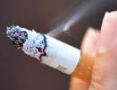 Your brain, lungs, sex life: How smoking RUINS your health