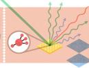 CV Raman: Google doodles for India's superstar physicist