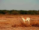 IN PICS: The stark beauty of Bhuj