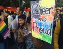 Why the battle against Section 377 must continue!