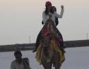 The Great Rann of Kutch: Following in Amitabh's footsteps