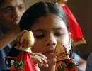 Celebrating Gudi Padwa: 5 rituals and their significance