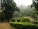 IN PICS: Why Coonoor is a picture-perfect paradise