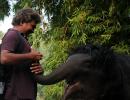 The trunk call: The photographer who 'speaks' with elephants!