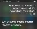 Hilarious conversations with iPhone's Siri