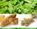 Quiz: Health benefits of everyday herbs