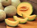 15 health benefits of musk melon