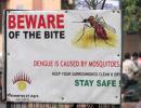 Dengue: Myths And Facts