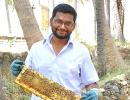 A software engineer to beekeeper