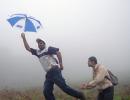 Monsoon pics: Gone with the wind