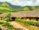 Green getaways: 8 best eco-friendly stays in India