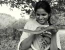 The fascinating story of a 22-year-old snake rescuer