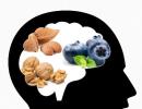 Quiz: Are you eating these brain boosting foods?