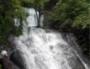 Monsoon pics: Even dogs love waterfalls