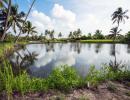 What's so magical about this tiny island in Kerala?