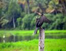 Monsoon pics: Caught in a downpour