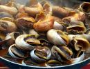 Would you dare to taste boiled snails in Morocco?