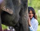 What a 7-yr-old taught Priyanka Chopra in Assam