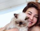 Have you met Jacqueline and Aliaa's cats?