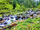 Photos that celebrate India's beauty