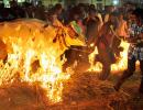 Pix: How India celebrates Makar Sankranti, Pongal, Lohri and Bihu