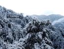 Pics: 10 reasons why you must visit Himachal in winter, not summer!