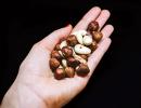 The many benefits of eating nuts