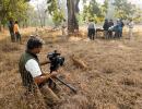 In pix: The tigers of Bandhavgarh