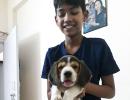 Meet Vivaan and his beagle Buddy