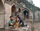 Must read! A 16-month-old German shepherd's letter