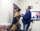 Pet pics: 'I love my German Shepherd'