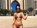 'Paw-sitively' sexy! Celebs stun in leopard print swimsuits