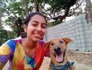 AJ from Bengaluru shares pics of her dogs