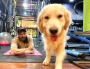 Hrithik Roshan and his pet enjoy self-isolation